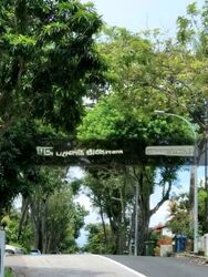 Jalan Kakatua (D21), Detached #458278501